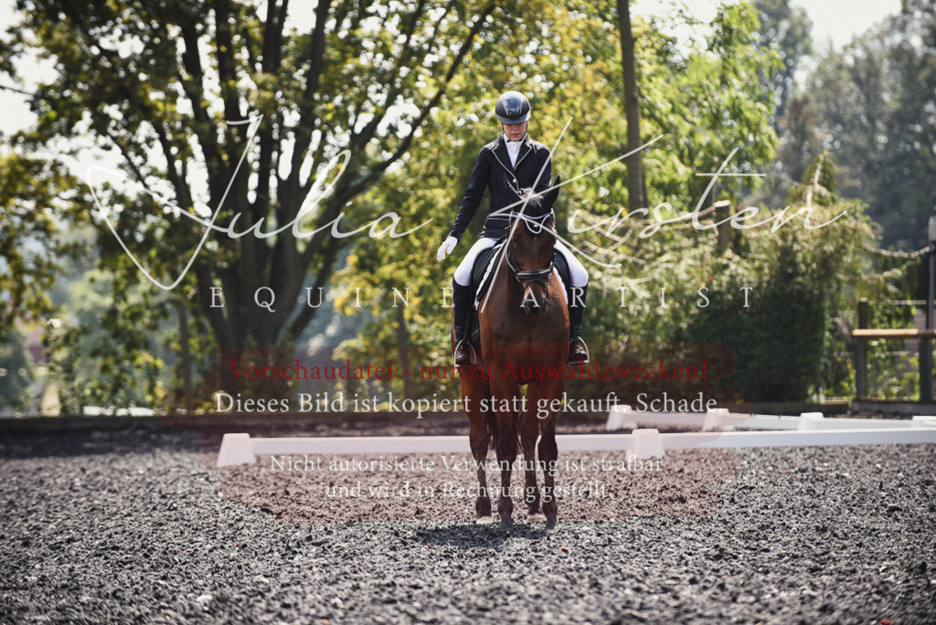 DSC_4154 | Pferde- und Turnierfotografie in Westsachsen. Pferdeportraits, Auftragszeichnungen und intuitive Kunst.