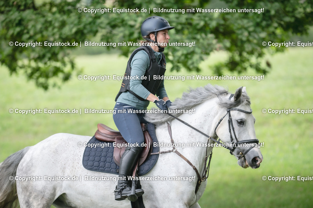 20250726_Vielseitigkeitslehrgang-Marbach_0533 | Foto: Thomas Hartig