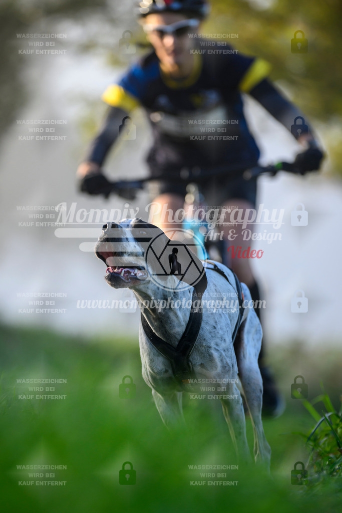MompixPhotography_20TSB_E3_Bike-33 | PayLife