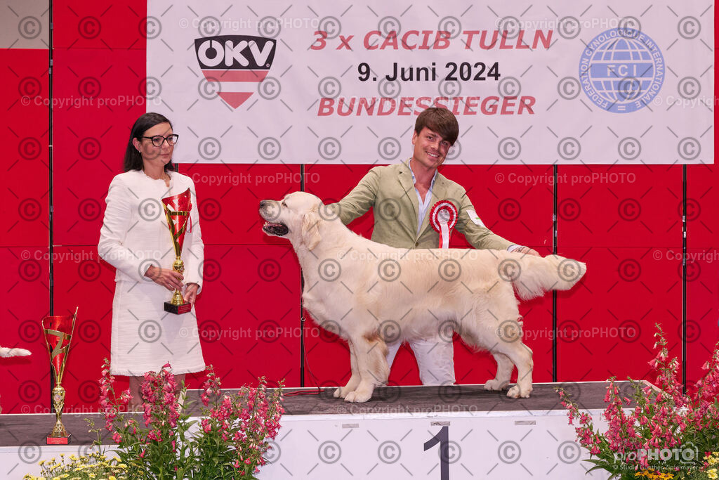 202406_ÖKV-IHA-Tulln24_NZ9_9566 | proPHOTO - Realisiert mit Pictrs.com