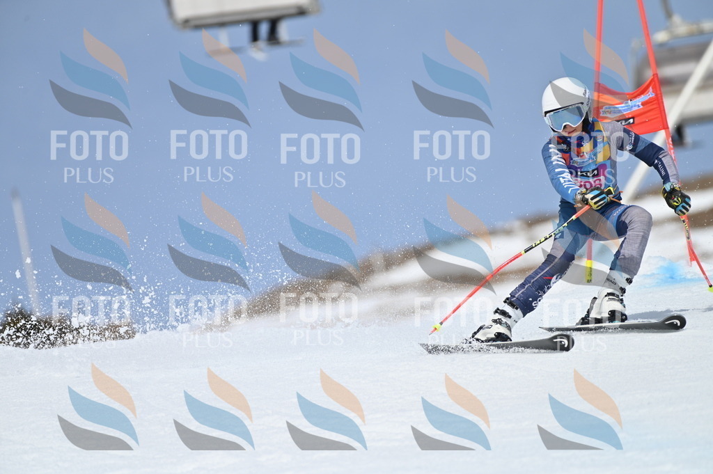 BGV_2901 | holidayphoto