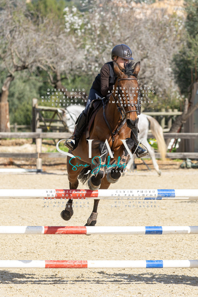 IMG_4343 | s-jay-photography - Realisiert mit Pictrs.com