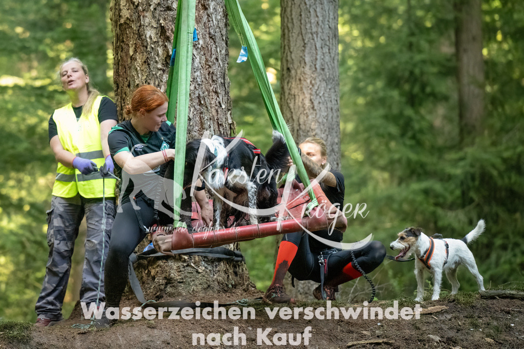 1431_ZZ90002-Bearbeitet-3 | kk-dogfotos