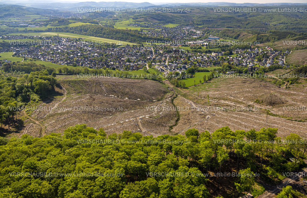 Arnsberg230500647 | Luftbild, Waldschäden bei Oeventrop, Glösingen, Arnsberg, Sauerland, Nordrhein-Westfalen, Deutschland