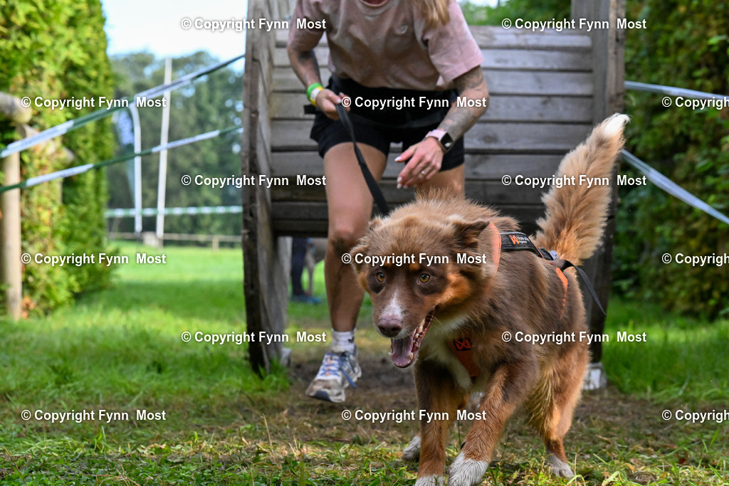 DSC_5947 | Hallo und herzlich Willkommen auf meiner Shop-Seite Fynn Most.

Ich wünsche Dir viel Spaß beim stöbern durch die Bilder, wenn Du Fragen hast oder Bilder vermisst, kannst du mir gerne eine Nachricht schreiben. - Realisiert mit Pictrs.com