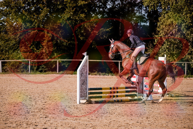 2026_10_03_Siefer-Hof_155525_Z81_74631529 | Professionelle Reitsport-, Turnier- und Eventfotografie von Robert Broda. Galerien mit ausgewählten und bearbeiteten Bildern direkt online ansehen und bestellen.