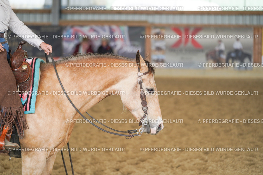 DSC01904 | Pferdegrafie