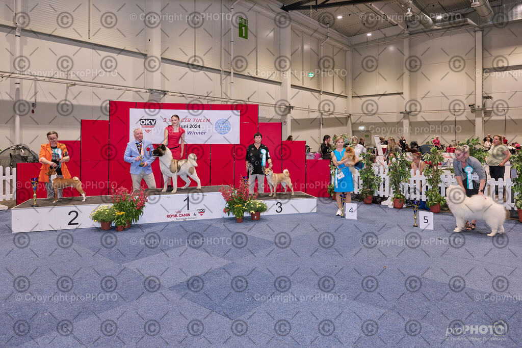 202406_ÖKV-IHA-Tulln24_NZ9_7854 | proPHOTO - Realisiert mit Pictrs.com