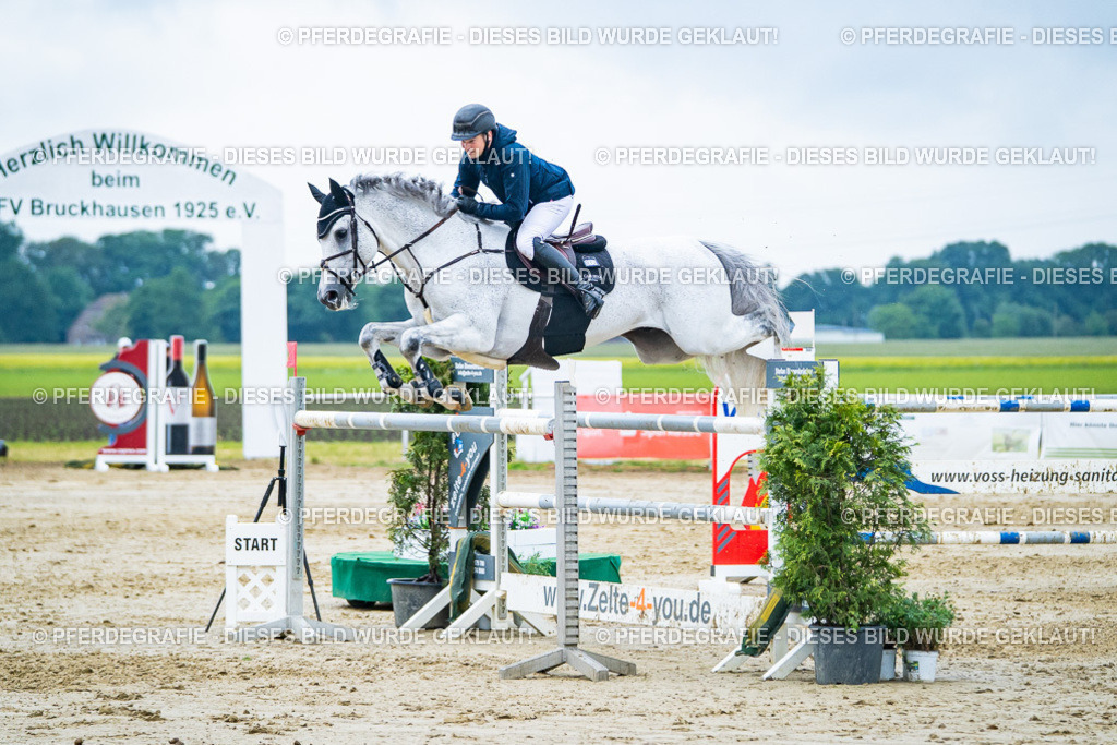 DSC00661 | Pferdegrafie