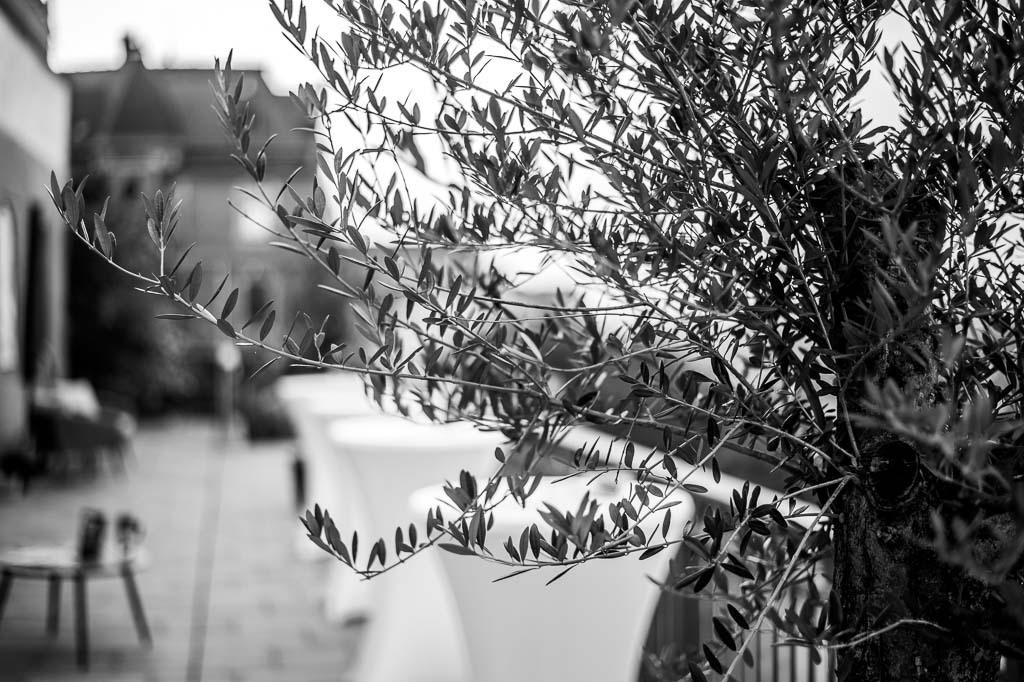 Claudia Michelsen zur Lesung im Forte Belvedere Leisnig | Zur Marlene-Dietrich-Lesung mit Schauspielerin Claudia Michelsen im Forte Belvedere Leisnig zum Festival Hallo Leisnig 2022. - Realisiert mit Pictrs.com