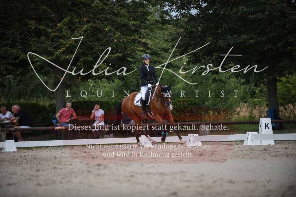 DSC_8413 | Pferde- und Turnierfotografie in Westsachsen. Pferdeportraits, Auftragszeichnungen und intuitive Kunst.