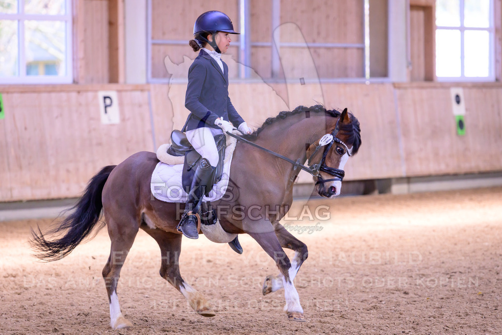 11042026-Mammendorf-Prfg27-0482 | Fokus Hufschlag Fotografie - Realisiert mit Pictrs.com