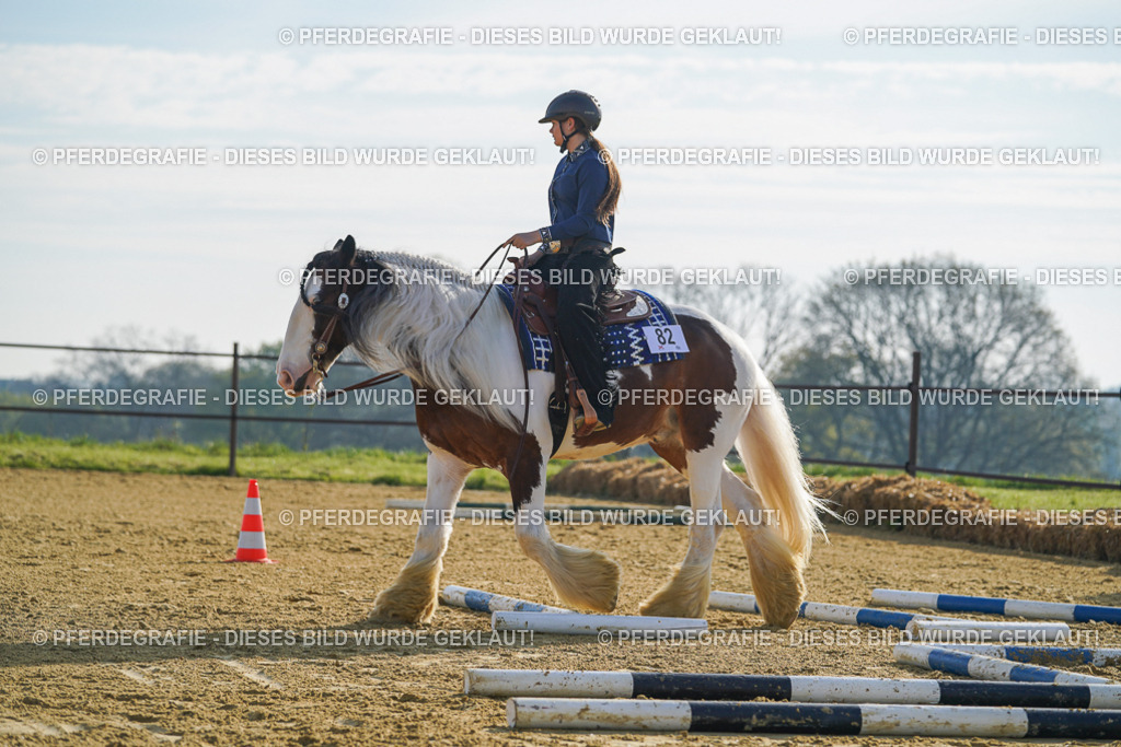 DSC00914 | Pferdegrafie