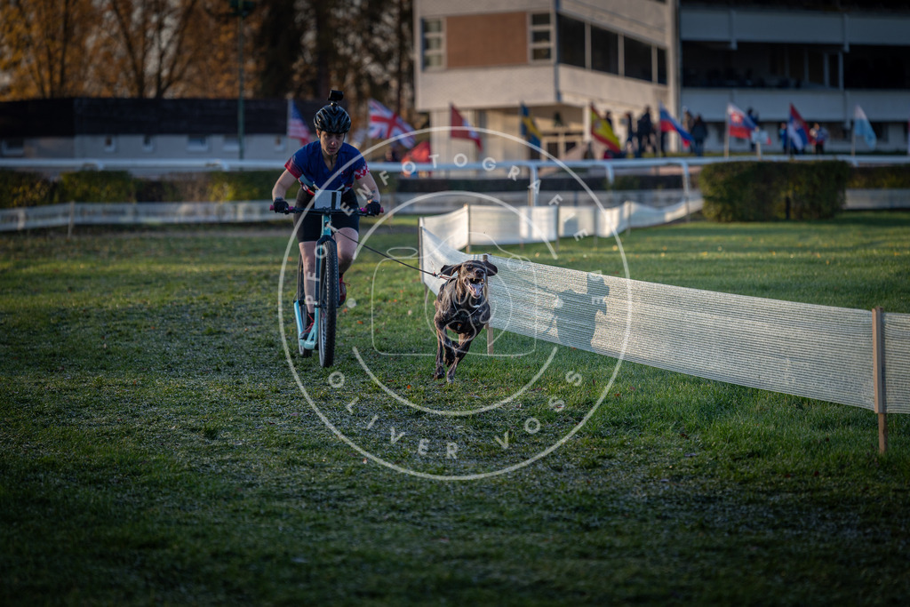 CaniXpix_0L8A1937 | Hundefotografie, Tierfotograf, Pfotenfotografie, Fotoshooting Hund, Hunde Portrait, Hundesport, Hundeportraits, Heideshooting, Hunde, Sportfotograf, Hundefotograf, Turnierhundsport, THS,  - Realisiert mit Pictrs.com