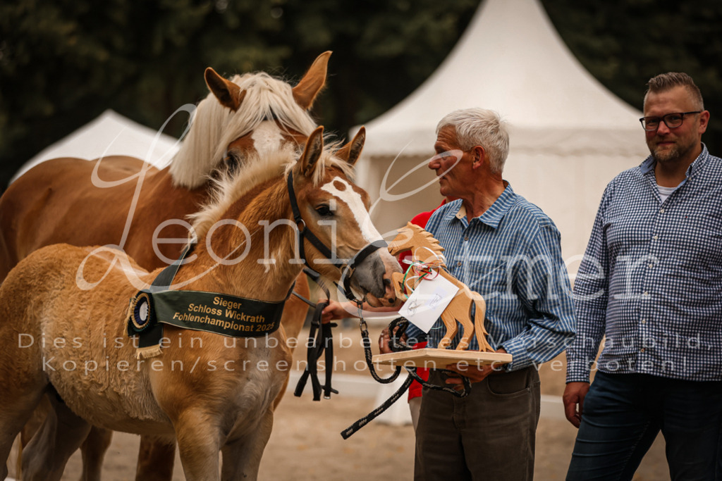 SaHF00153 | Leoni Ertmer Photography - Realisiert mit Pictrs.com