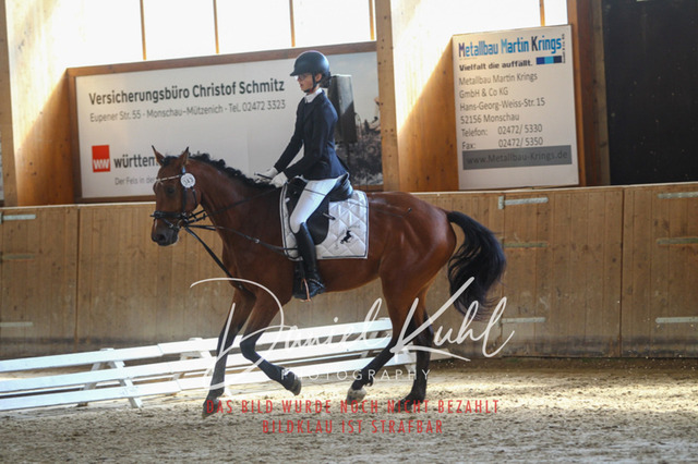 DKP45195 | Turniersportfotografie; Pferdefotografie; Dressurfotografie