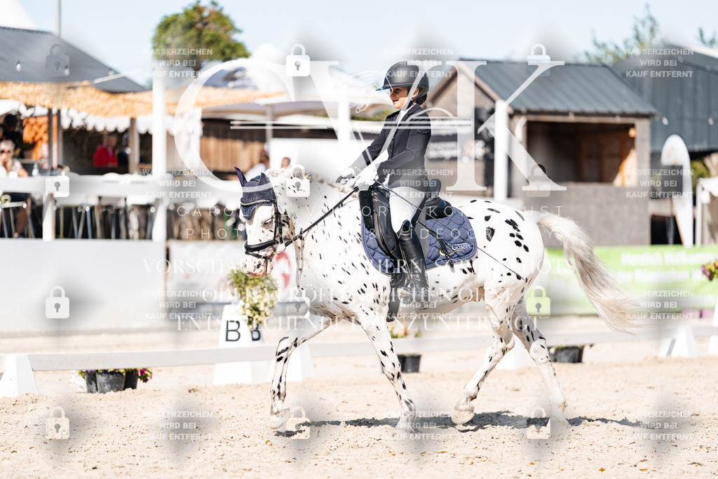 CK908549 | Turnierfotografie Pferdefotografie Trier Rheinland-Pfalz Pferdesport Reitsport Tierfotografie Sportfotografie Pferdevideo Pferdevideografie Equestrianvideography equestrianphotography  - Realisiert mit Pictrs.com