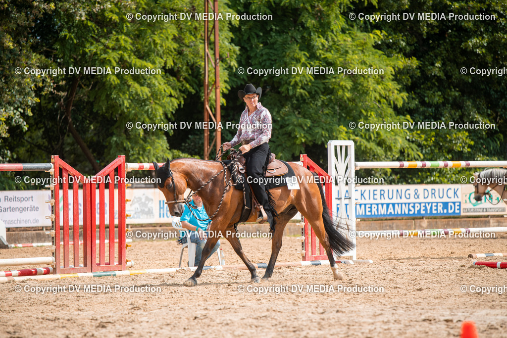 ZS2_7692 | dv-media-shop - Realisiert mit Pictrs.com