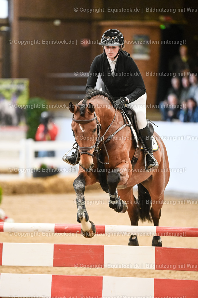 20260307_Hengstvorstellung-Marbach_0045 | equistock