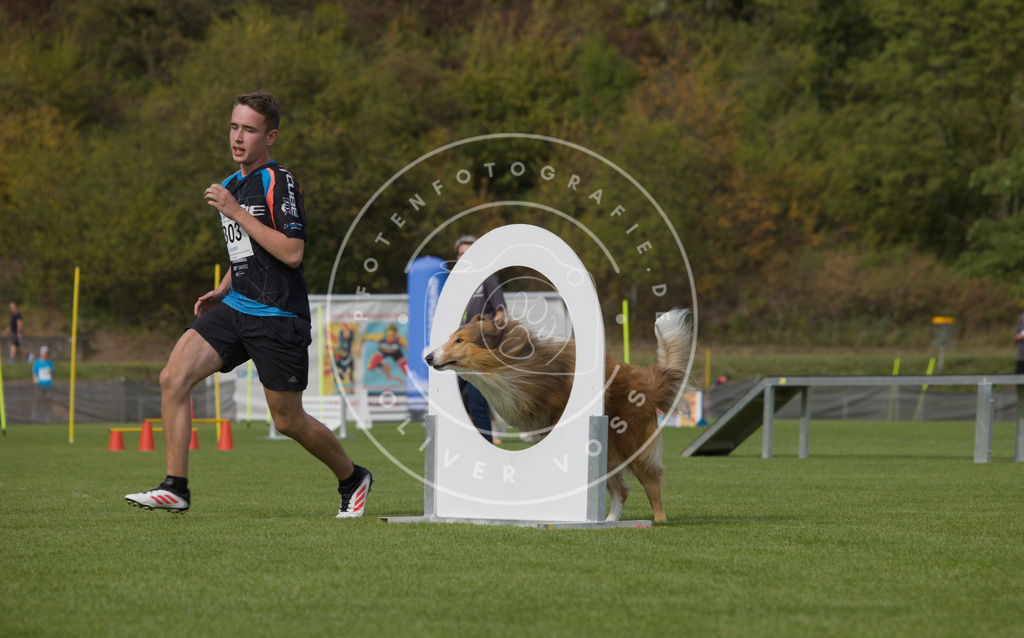 0L8A3535 | Hundefotografie, Tierfotograf, Pfotenfotografie, Fotoshooting Hund, Hunde Portrait, Hundesport, Hundeportraits, Heideshooting, Hunde, Sportfotograf, Hundefotograf, Turnierhundsport, THS,  - Realisiert mit Pictrs.com