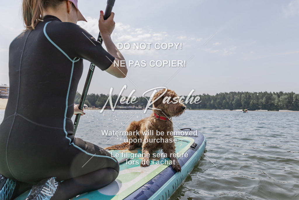 BUHU_SUP_513 | nelerasche