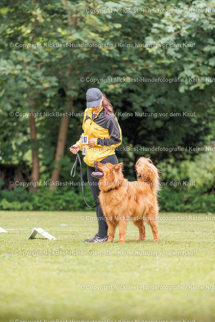 RO-Blumenthal-2026-Nickbest-Hundefotografie-3634 | Dein Hund! Dein Moment! Deine Erinnerungen! Hundefotografie in Bremen Blumenthal. Ich fange die besonderen Momente deines Vierbeiners ein – ob Indoor mit Blitzanlage oder in der freien Natur. Sicher dir dein Moment und dein Termin für eure Erinnerungen.