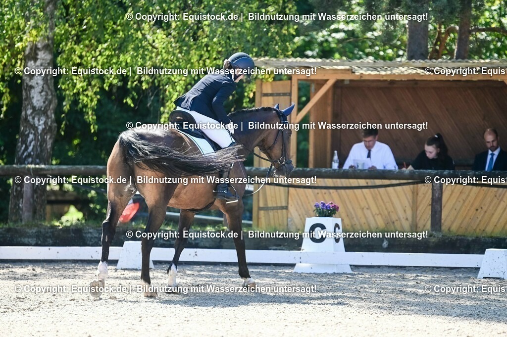 20230908_06_Dressur-L-Trense_0462 | equistock