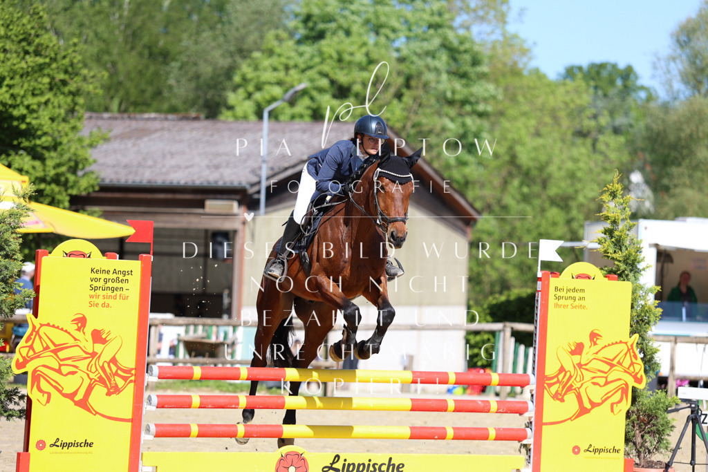 IMGS6658 | pl-fotografie