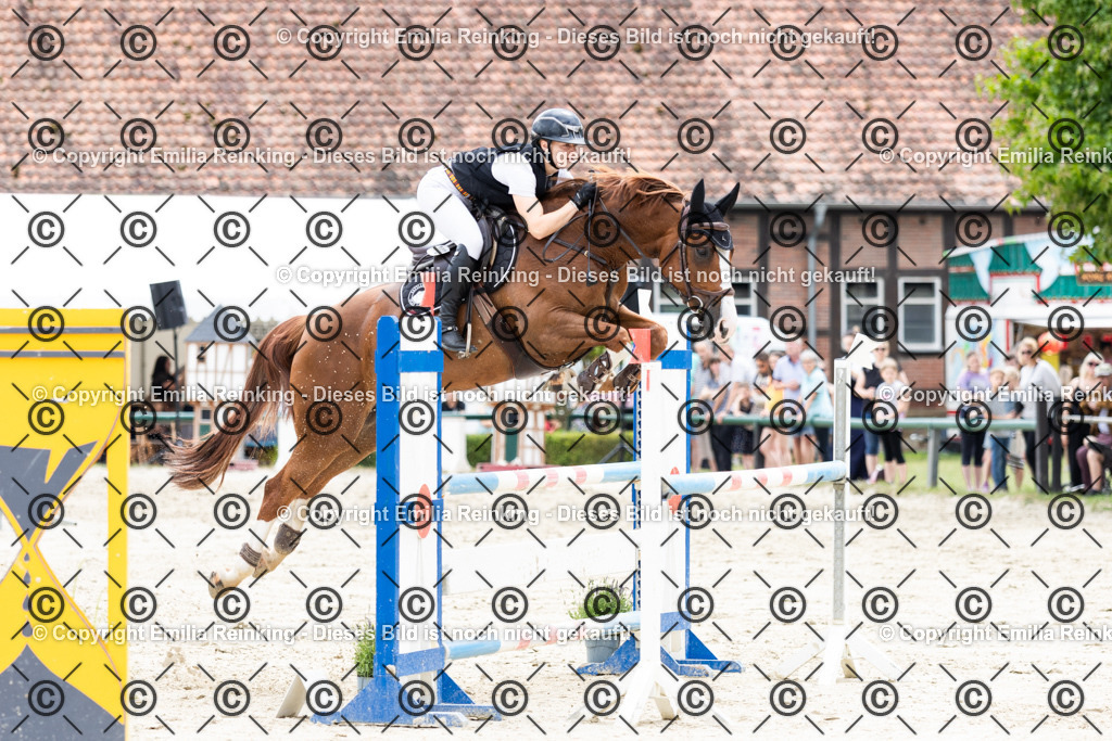 CL5A7650 | Emilia Reinking Fotografie - Realisiert mit Pictrs.com