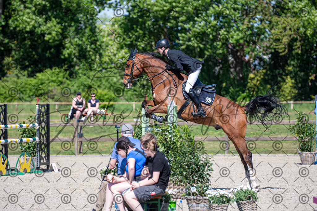 KPT_1373 | andre_photographic