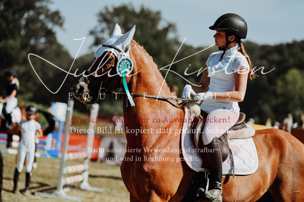 DSC_0137 | Pferde- und Turnierfotografie in Westsachsen. Pferdeportraits, Auftragszeichnungen und intuitive Kunst.