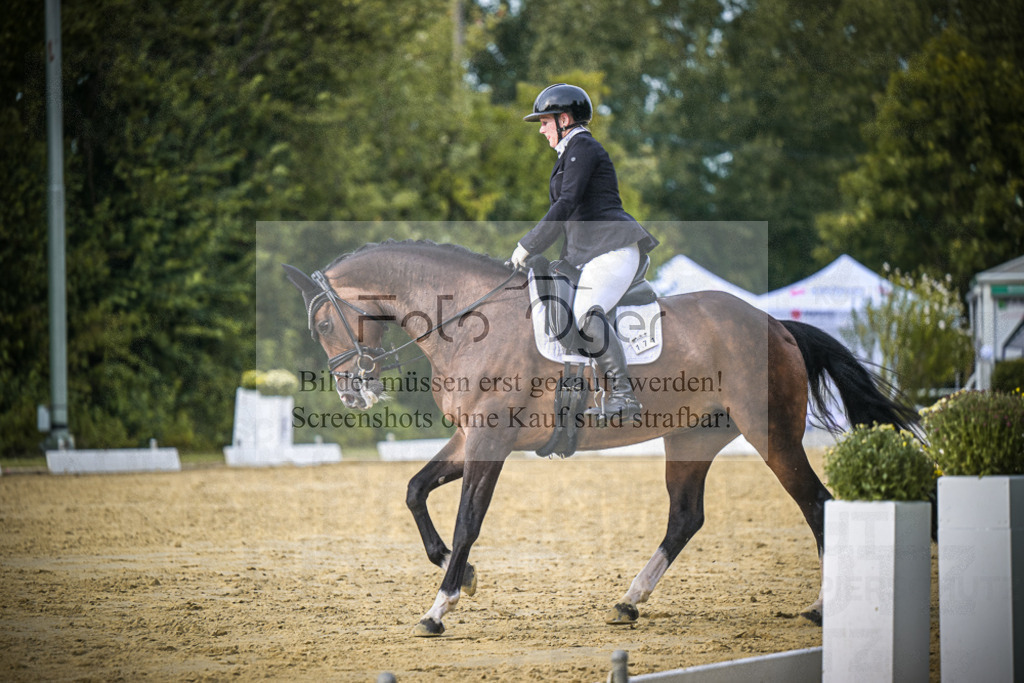 DOS_0353 | Entdecke hochwertige Reitturnierfotos von Foto Oger. Professionell, emotional und authentisch – jetzt Lieblingsmomente im Shop bestellen.Deutschlandweite Turnierfotografie. - Realisiert mit Pictrs.com