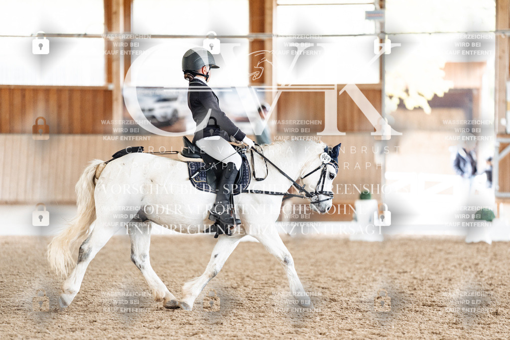 CK900975 | Turnierfotografie Pferdefotografie Trier Rheinland-Pfalz Pferdesport Reitsport Tierfotografie Sportfotografie Pferdevideo Pferdevideografie Equestrianvideography equestrianphotography  - Realisiert mit Pictrs.com