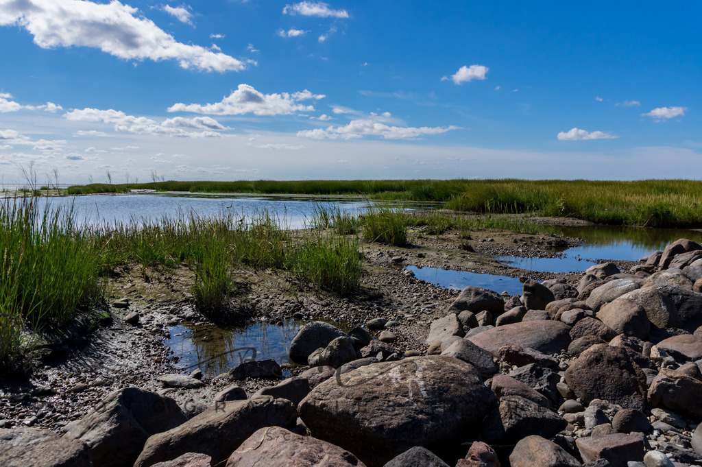 IMGP0423 | Nordseeinsel Mandö - Realisiert mit Pictrs.com