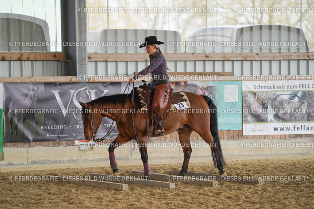 DSC00576 | Pferdegrafie