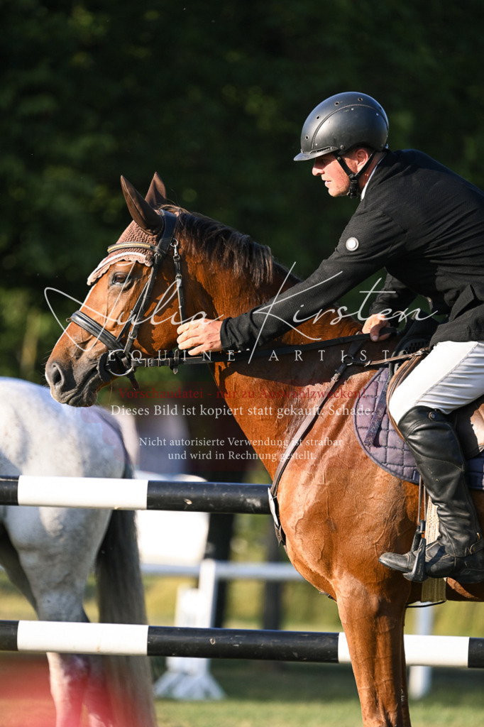 DSC_1841 | Pferde- und Turnierfotografie in Westsachsen. Pferdeportraits, Auftragszeichnungen und intuitive Kunst.