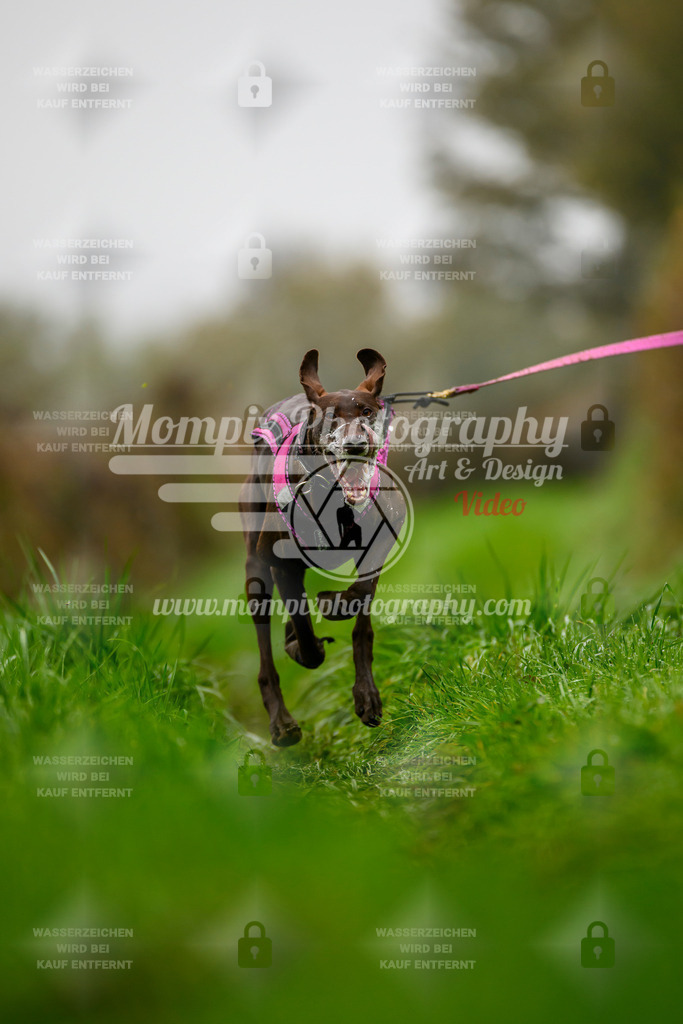 MompixPhotography_20TSB_E8_Bike-47 | PayLife