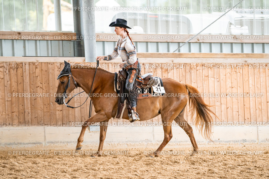 DSC00666 | Pferdegrafie