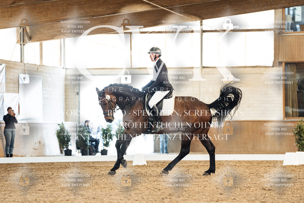 CK909037 | Turnierfotografie Pferdefotografie Trier Rheinland-Pfalz Pferdesport Reitsport Tierfotografie Sportfotografie Pferdevideo Pferdevideografie Equestrianvideography equestrianphotography  - Realisiert mit Pictrs.com