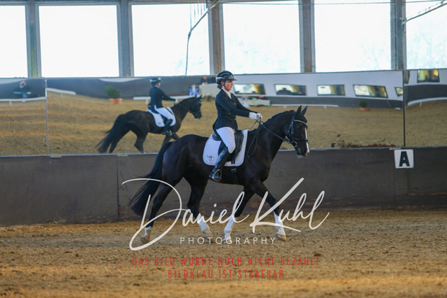 IMG_3268 | Turniersportfotografie; Pferdefotografie; Dressurfotografie