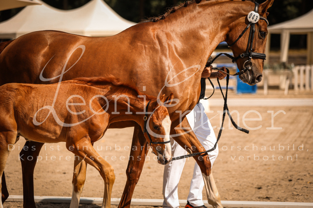 09.DoWBD00002 | Leoni Ertmer Photography - Realisiert mit Pictrs.com