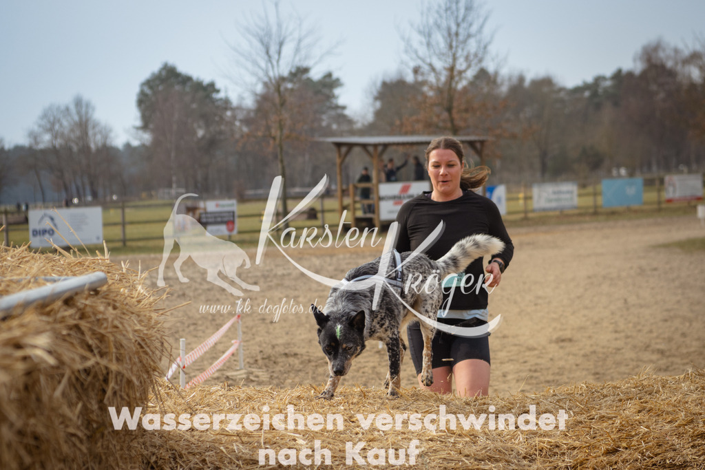 1059_ZZ91315 | kk-dogfotos
