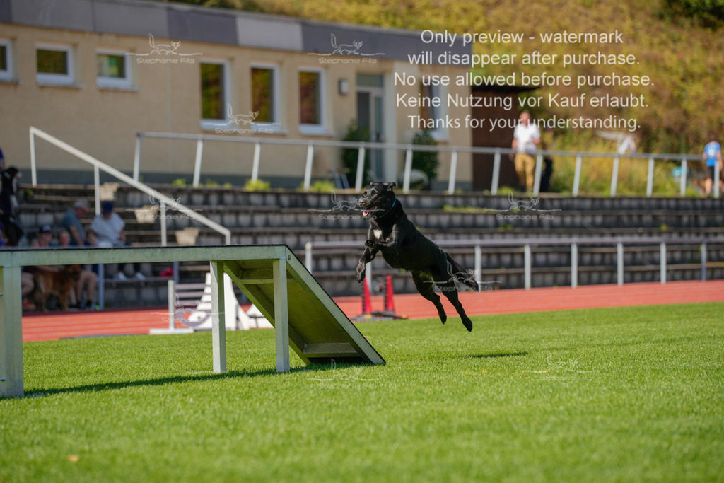 Sonntag_VK Hindernis (517 von 671) | stephaniefillaphotographie - Realisiert mit Pictrs.com