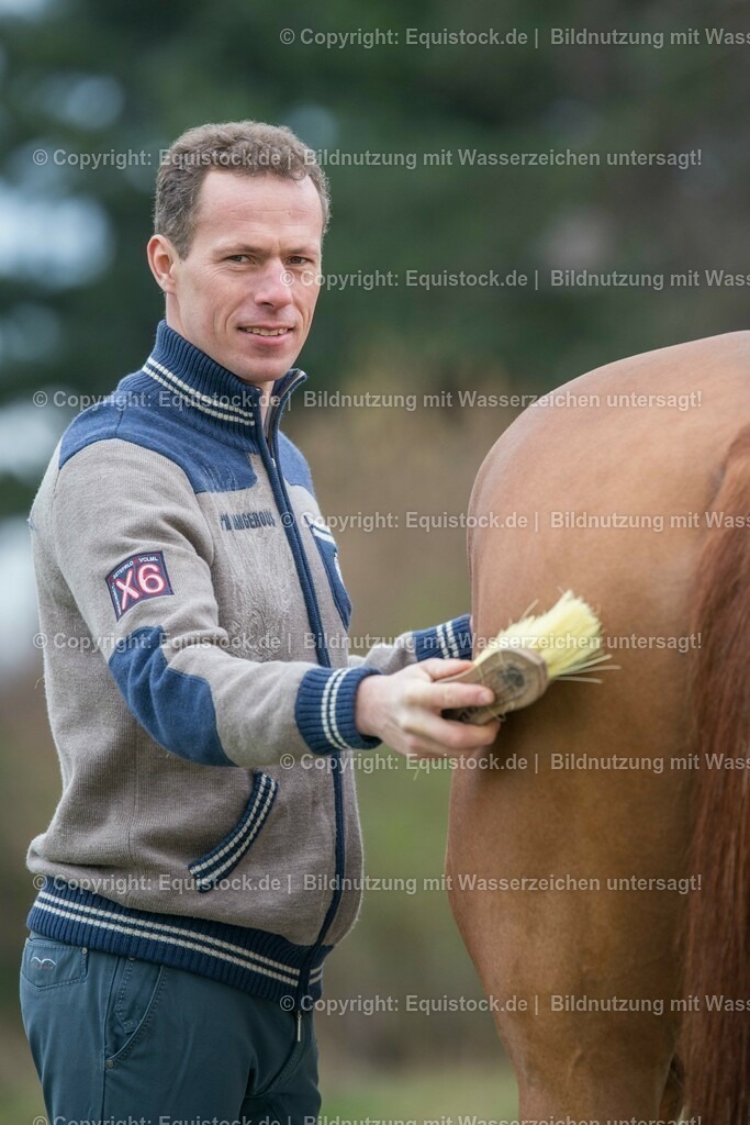 20160226_Ahlmann_0043 | equistock