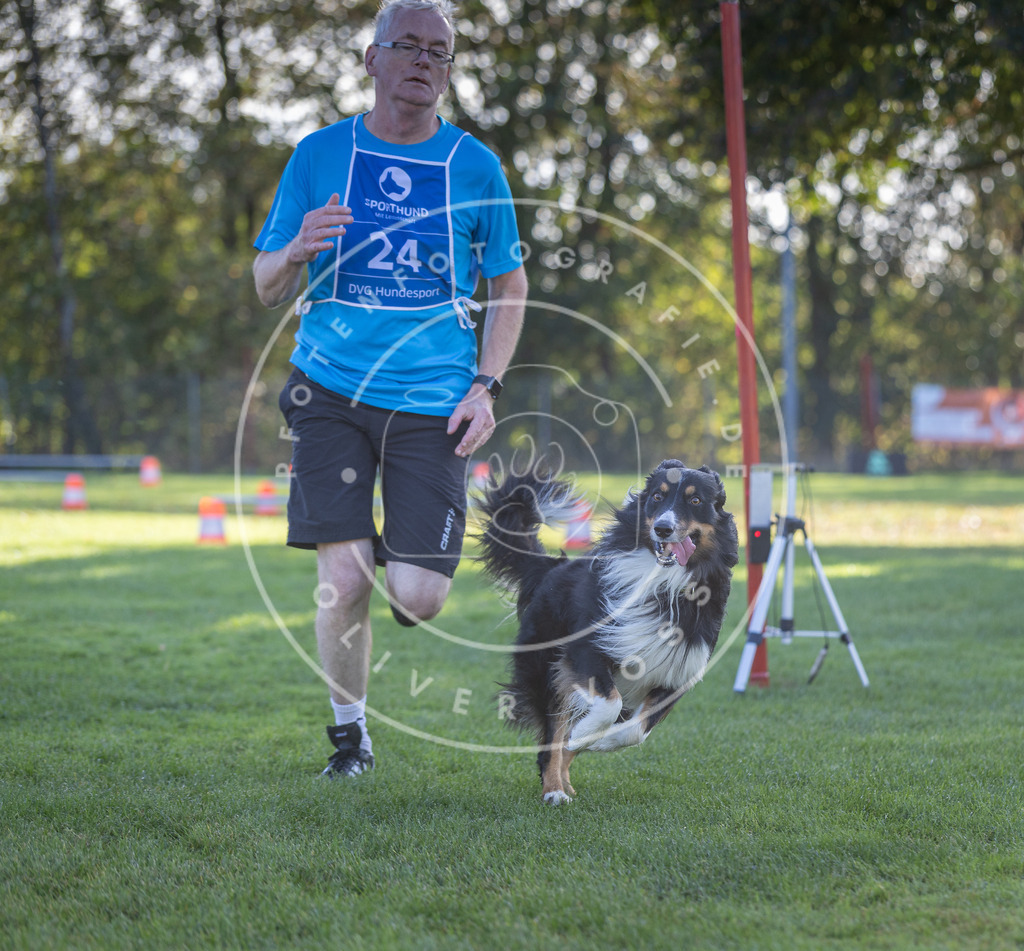 Pfotenfotografie.de_DV3A3060 | Hundefotografie, Tierfotograf, Pfotenfotografie, Fotoshooting Hund, Hunde Portrait, Hundesport, Hundeportraits, Heideshooting, Hunde, Sportfotograf, Hundefotograf, Turnierhundsport, THS, canicross - Realisiert mit Pictrs.com
