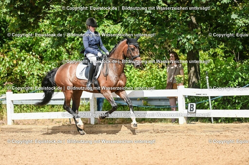 20230716_01_Dressurprüfung Kl.M_0191 | equistock