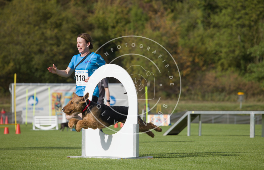 0L8A3806 | Hundefotografie, Tierfotograf, Pfotenfotografie, Fotoshooting Hund, Hunde Portrait, Hundesport, Hundeportraits, Heideshooting, Hunde, Sportfotograf, Hundefotograf, Turnierhundsport, THS,  - Realisiert mit Pictrs.com