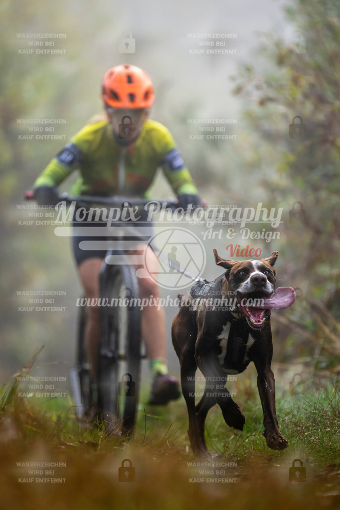 MompixPhotography_20TSB_E4_DS1-53 | PayLife