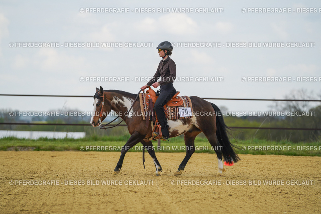 DSC06200 | Pferdegrafie