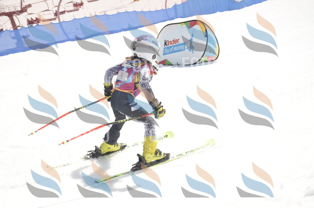 _ELE9170 | holidayphoto